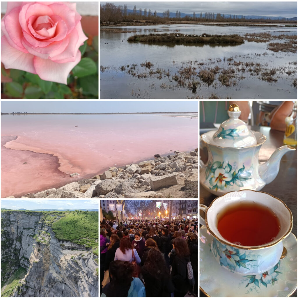 Collage de recuerdos bonitos de 2025: rosas, un pantano, una salina, té, un acantilado, una manifestación